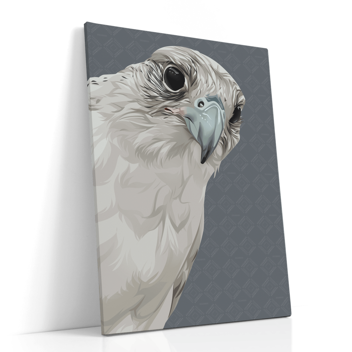 Animal Canvas -Falcon