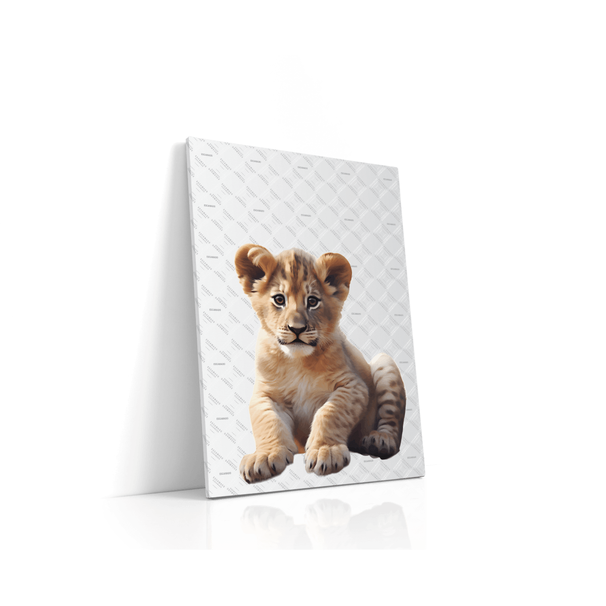 Animal Canvas - Lion Cub