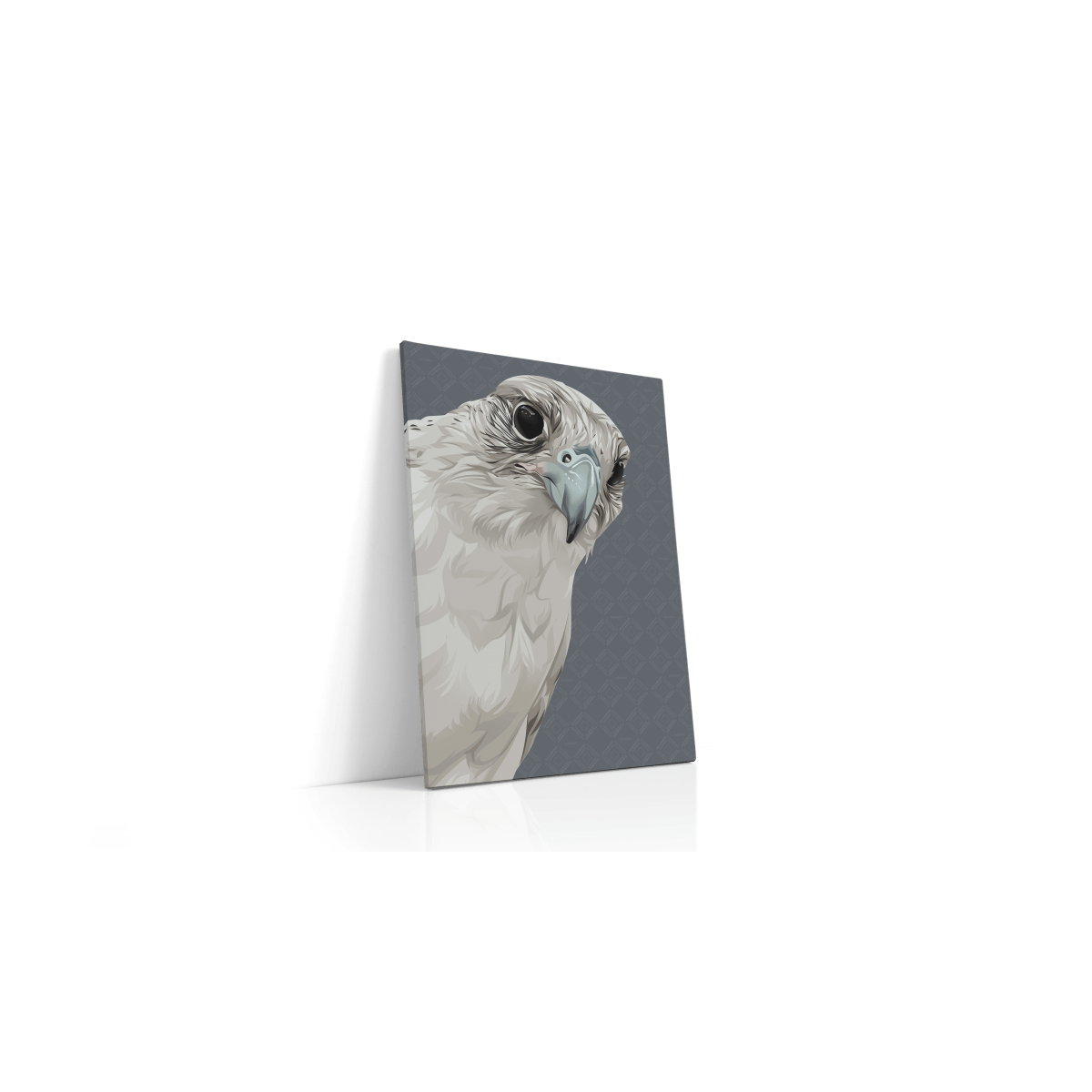 Animal Canvas -Falcon