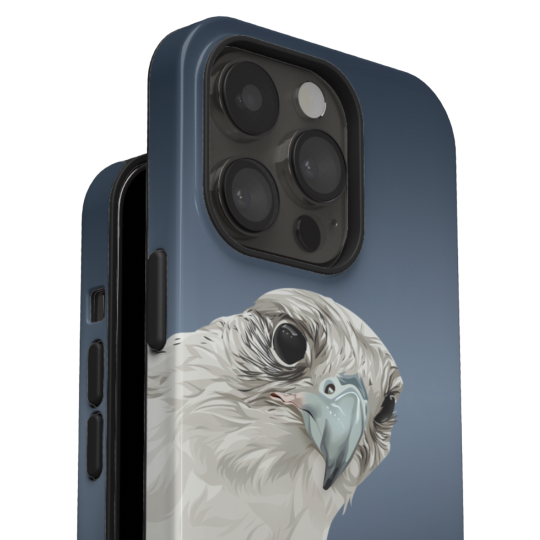 iPhone Accessories