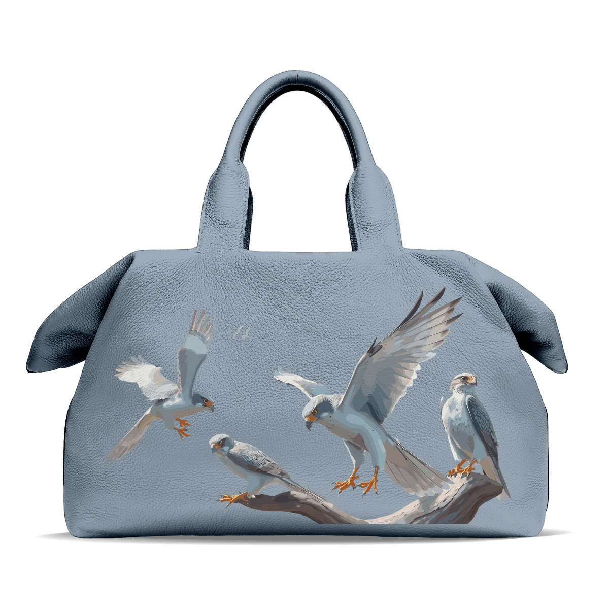 Travel Bag 45 - Silver Falcon